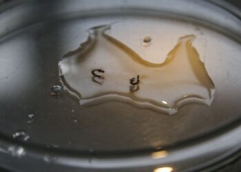 campanha-de-mobilizacao-contra-dengue-nas-escolas-comeca-nesta-segunda