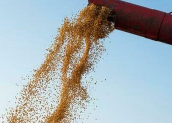 soja-recua-0,75%-em-paranagua-(pr)