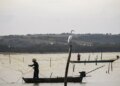 periodo-de-defeso-na-bacia-hidrografica-do-rio-amazonas-termina-em-28-de-fevereiro