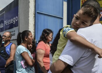 sao-paulo-registra-seis-mortes-por-febre-amarela