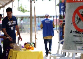 casos-de-dengue-no-brasil-caem-60%-nas-primeiras-semanas-do-ano