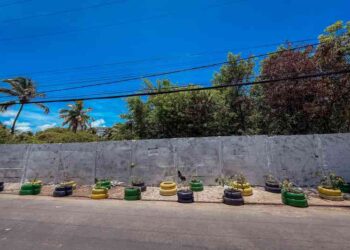 prefeitura-entrega-jardim-sustentavel-no-centro-da-cidade