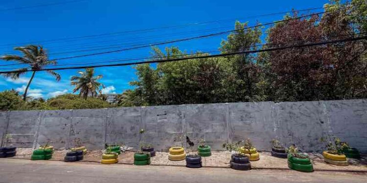 prefeitura-entrega-jardim-sustentavel-no-centro-da-cidade