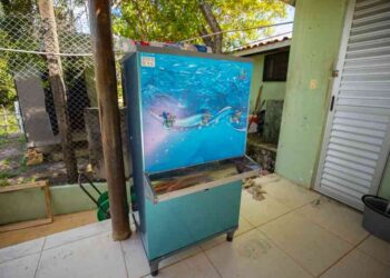 gestao-recebe-equipamentos-para-auxiliar-na-infraestrutura-dos-espacos-publicos