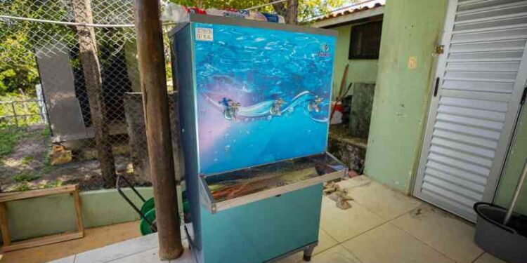 gestao-recebe-equipamentos-para-auxiliar-na-infraestrutura-dos-espacos-publicos