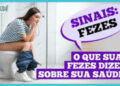 dr.-ajuda:-os-sinais-que-as-fezes-podem-indicar-sobre-a-sua-saude