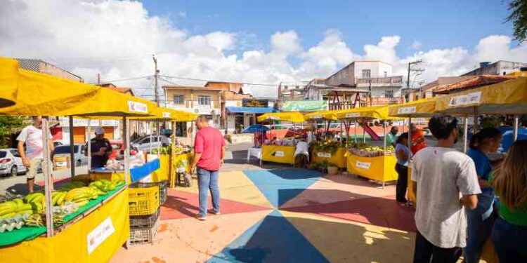 retorno-da-feira-livre-fortalece-agricultura-familiar-do-municipio