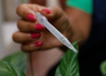 com-300-casos-por-100-mil-habitantes,-sp-entra-em-epidemia-de-dengue