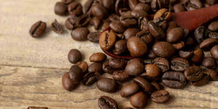 saca-do-cafe-arabica-registra-queda-no-preco,-vendida-a-r$-2.588,42