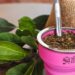 do-parana-para-o-mundo:-conheca-empresa-que-exporta-erva-mate-para-as-americas