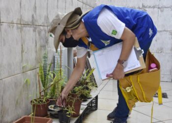 dengue:-casos-provaveis-ultrapassam-439-mil-em-2025