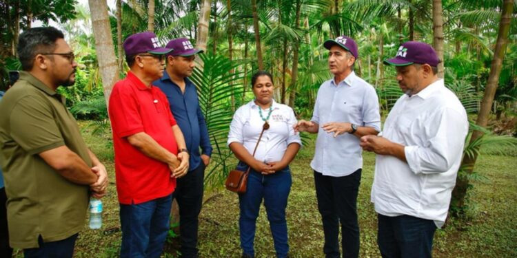 amapa:-waldez-goes-visita-produtores-de-acai-e-destaca-importancia-do-microcredito