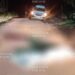 Briga por cachorro termina com dois homens mortos no sul da Bahia