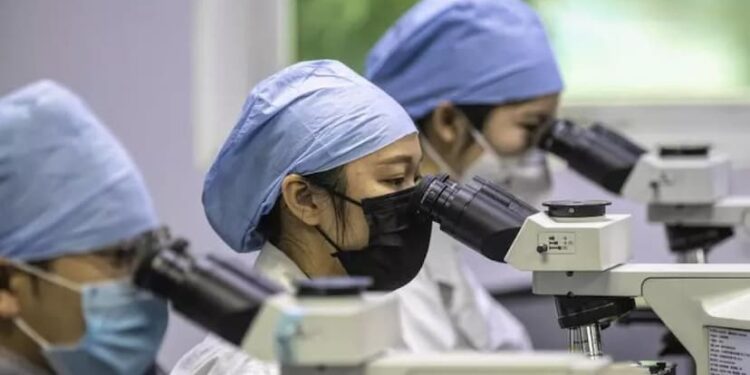 Cientistas chineses descobrem novo coronavírus em morcegos com potencial de transmissão para humanos
