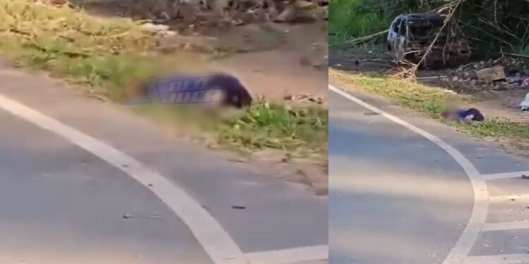 Corpo de jovem é encontrado na rotatória do Jambeiro, em Lauro de Freitas