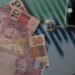 rendimento-domiciliar-per-capita-no-brasil-foi-de-r$-2.069;-confira-ranking-por-estado
