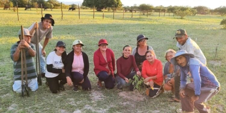 midr-apoia-projeto-para-restauracao-ambiental-no-semiarido