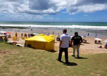 prefeitura-realizou-acoes-de-seguranca-e-ordenamento-durante-o-carnaval