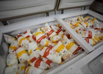 prefeitura-distribui-mais-2.400-litros-de-leite-nesta-quinta-feira-(6)