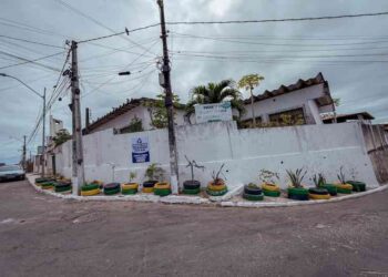 pontos-de-descarte-irregular-sao-transformados-em-jardins-sustentaveis