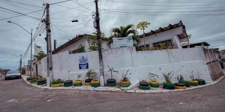 pontos-de-descarte-irregular-sao-transformados-em-jardins-sustentaveis