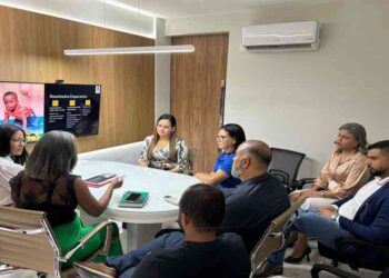 gestao-e-pestalozzi-tratam-servicos-de-inclusao