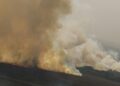 dino-homologa-parcialmente-plano-anti-incendios-na-amazonia-e-pantanal
