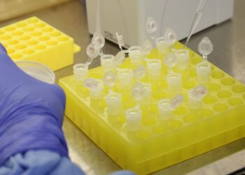 rio-confirma-dois-casos-de-sarampo-na-baixada-fluminense