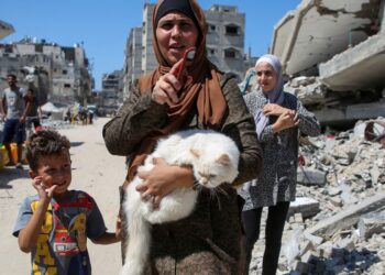 com-bloqueio-de-israel,-1-milhao-de-criancas-em-gaza-enfrentam-fome