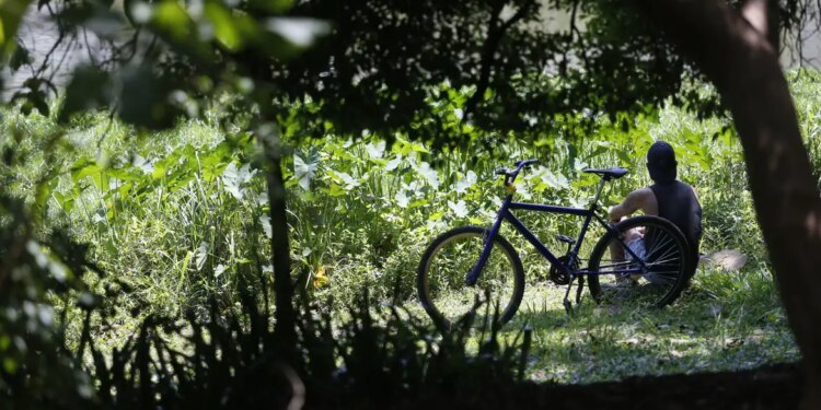 outono:-como-sera-o-tempo-nas-5-regioes-brasileiras