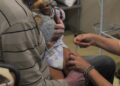cobertura-vacinal-em-publico-infantil-volta-a-crescer-em-sp