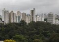 sao-paulo-lidera-ranking-de-cidades-brasileiras-com-maior-intensidade-de-ligacoes-empresariais