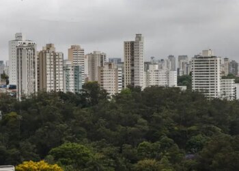sao-paulo-lidera-ranking-de-cidades-brasileiras-com-maior-intensidade-de-ligacoes-empresariais