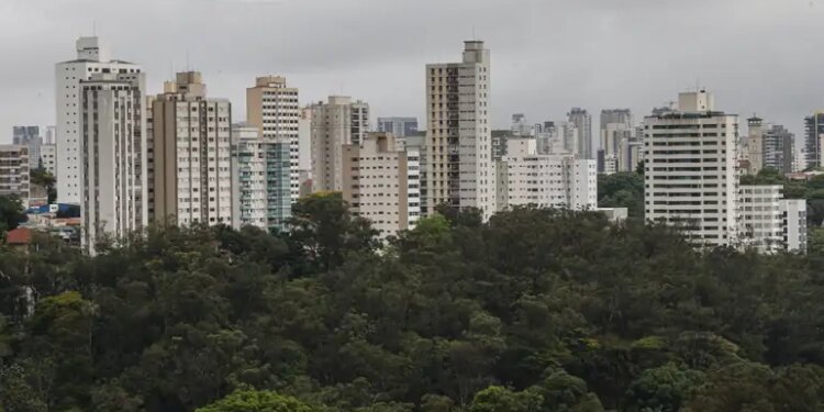 sao-paulo-lidera-ranking-de-cidades-brasileiras-com-maior-intensidade-de-ligacoes-empresariais