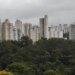 sao-paulo-lidera-ranking-de-cidades-brasileiras-com-maior-intensidade-de-ligacoes-empresariais