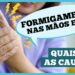 formigamento-nas-maos-e-pes:-causas-e-o-que-fazer