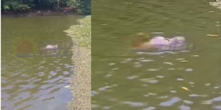 Corpo em decomposição é encontrado por moradores boiando na Lagoa do Abaeté