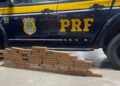 PRF apreende 30 kg de maconha em ônibus na BR-116 próximo a Vitória da Conquista