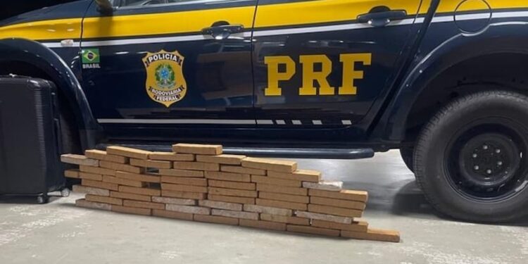 PRF apreende 30 kg de maconha em ônibus na BR-116 próximo a Vitória da Conquista