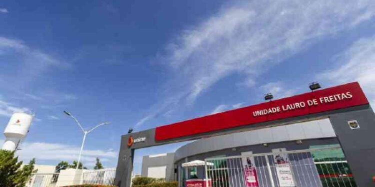 1a-plenaria-popular-de-saude-do-trabalhador-acontece-nesta-quinta-feira-(3)