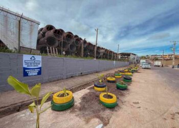 lauro-de-freitas-ganha-mais-um-jardim-sustentavel