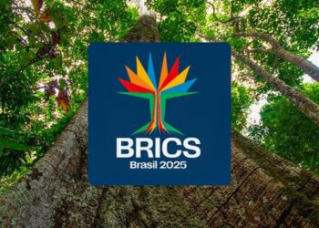 sociedade-civil-pode-se-inscrever-ate-o-dia-10-em-dialogo-do-brics
