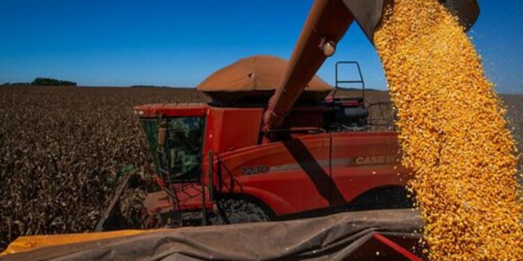 tarifaco-de-trump:-cenario-pode-ser-oportuno-para-exportacoes-brasileiras-de-cafe-e-soja