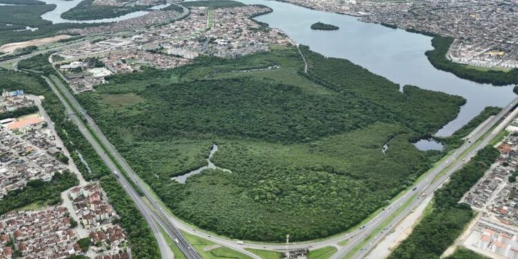 cidades-verdes-do-mundo:-34-municipios-brasileiros-fazem-parte-de-seleta-lista-da-onu