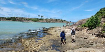 pesquisa-mineral:-sgb-lanca-mapa-geologico-da-bacia-de-alagoas