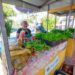 feira-livre-e-antecipada-em-razao-do-feriado-de-sexta-feira-santa