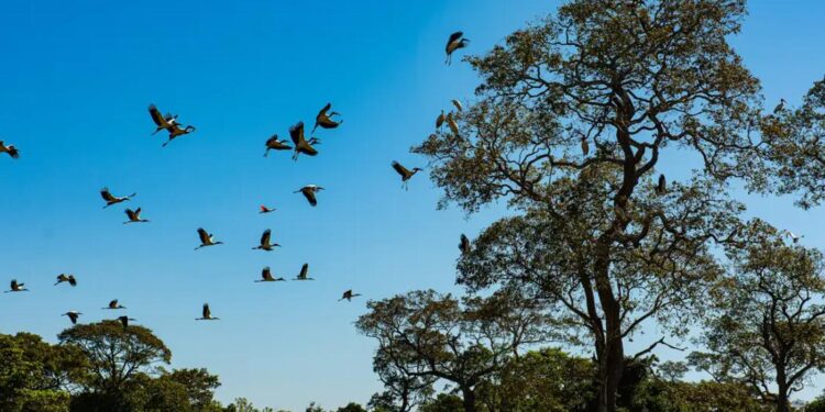 areas-com-inundacoes-frequentes-podem-ser-isentas-de-imposto-territorial-rural