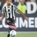libertadores:-botafogo-enfrenta-o-estudiantes-em-la-plata