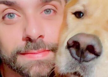 apos-caso-joca,-senado-aprova-regras-para-transporte-aereo-de-animais