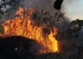 bate-papo-com-a-defesa-civil-explica-contratacoes-emergenciais-para-enfrentar-incendios